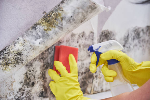  Lincoln University, PA Mold Removal Pros