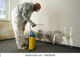 Best Mold Odor Removal Services in Lincoln University, PA